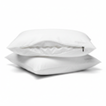 Waterproof Pillow Protectors 2-Pack